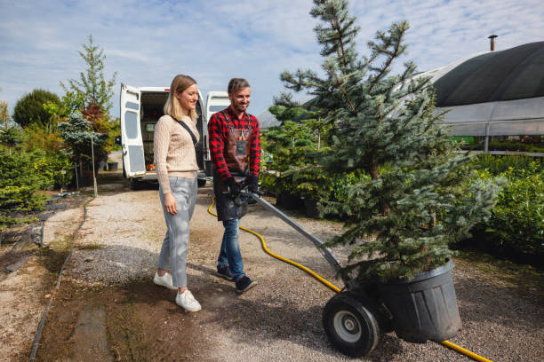 Mulching Services in Spring Grove, MN